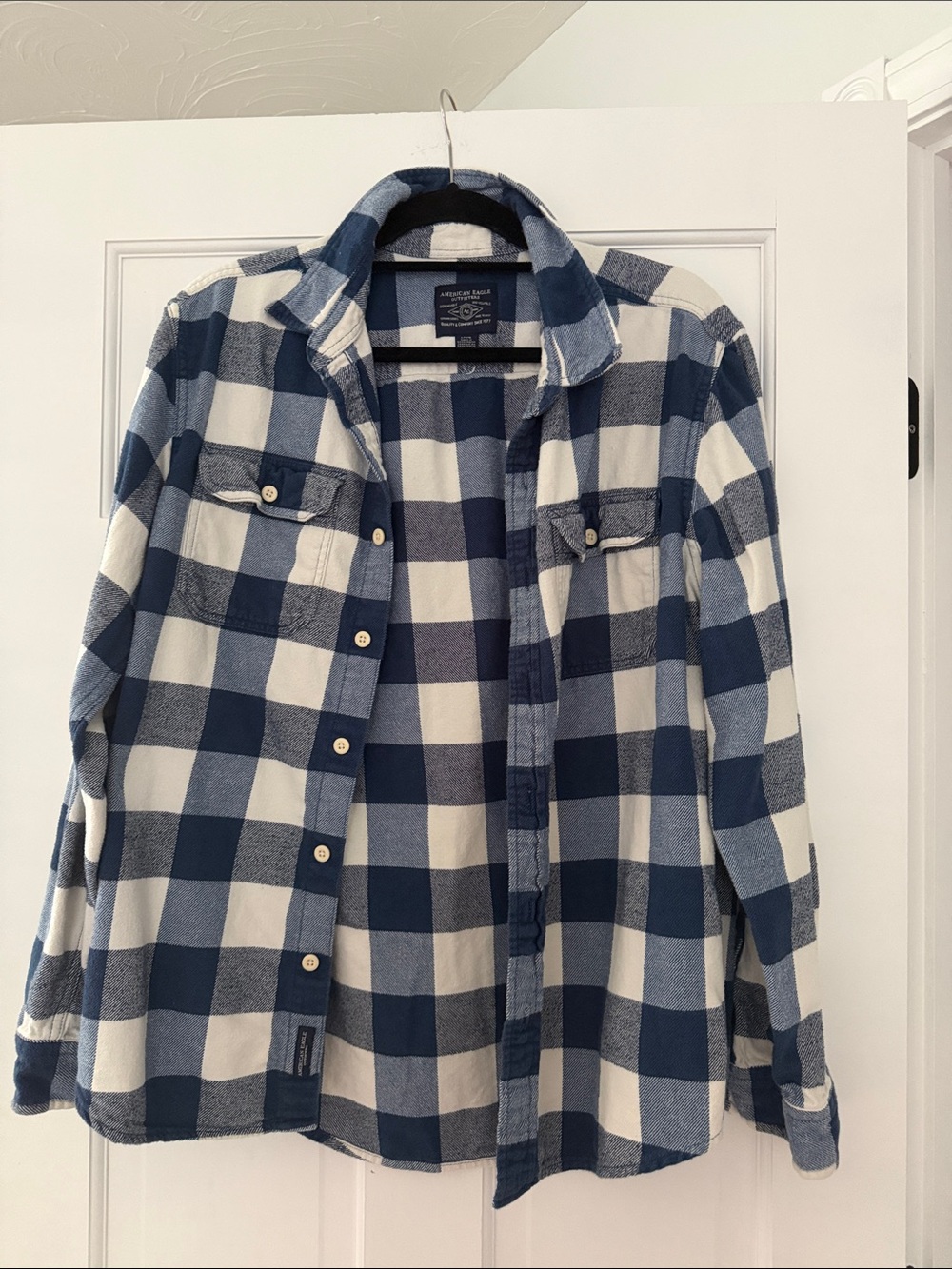 American Eagle Outfitters Blue and White Plaid Button-Up